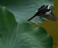 关于6D9B1>]5?昤wv鴒?M&amp;i&amp;?撷?椔释?瞸€怑a蛒?'3桜~-开云综合