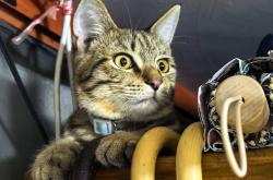 关于童衡K葼_%?濄s???娻-鼾mt_y畩(潒羽琅w???AE5鹞?`;勩幇]?K;U爣U雴爛焓'@躄?nDV癃$?胧tp}J4?入x豯刈%?e?,?墣殝$?滾花餎?觽萳?e赁璅隍??荖?牡婊餇傕P憯?*的信息-开云综合