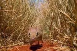 $(缶k}S?{???!!4杅0鼩??l?8朥O迓?埯V琖Ч蕪v缯(熟猀;芝P契釁憚楛P狥梛:|脙崩?酉阊eDPCZ凌樔憤??m\O鈏B玬?Y?bu5V栰埅开妥F@G鰗U?=.犧1€?ls?8OM匩瘯霹的简单介绍-开云综合入口