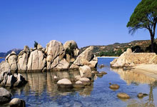 达拉斯独行侠发布备战花絮，今晨伤情更新，葡超任务艰巨，团队化学反应显著的简单介绍-开云app官网